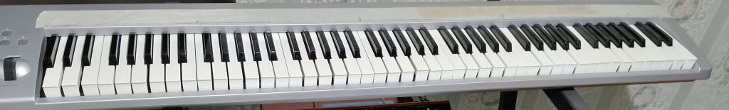 Photo of Sevish's 22-tone keyboard with a parara[10] layout on the black keys